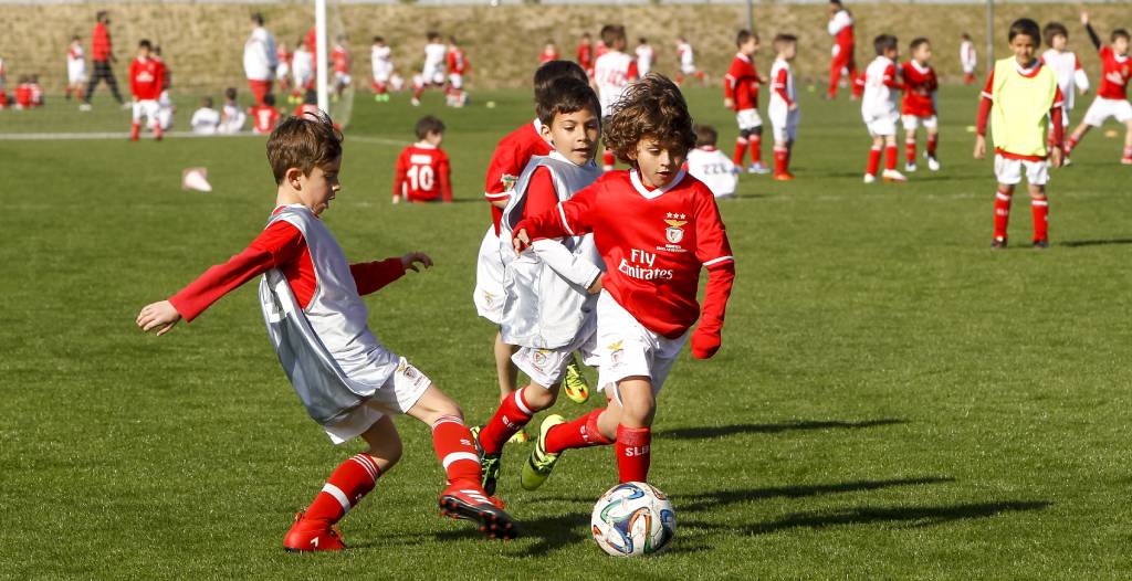Benfica camp - Sverige Camp med SL Benfica i Sverige.